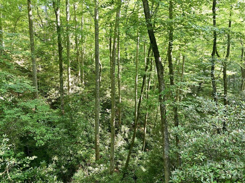 Natural landscape and outdoor views near in Hendersonville (Image 22). Natural landscape and outdoor views near in Hendersonville (Image 22).