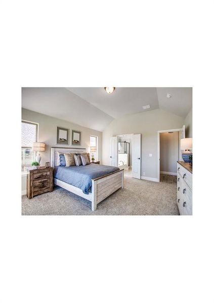 Carpeted bedroom with vaulted ceiling