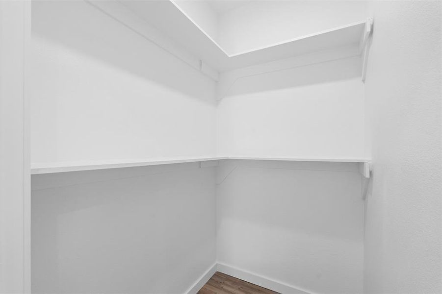 Spacious closet featuring wood finished floors