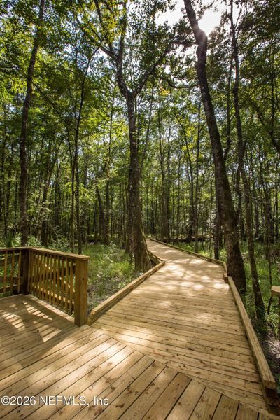 Natural landscape and outdoor views near Shearwater in St. Augustine (Image 50).