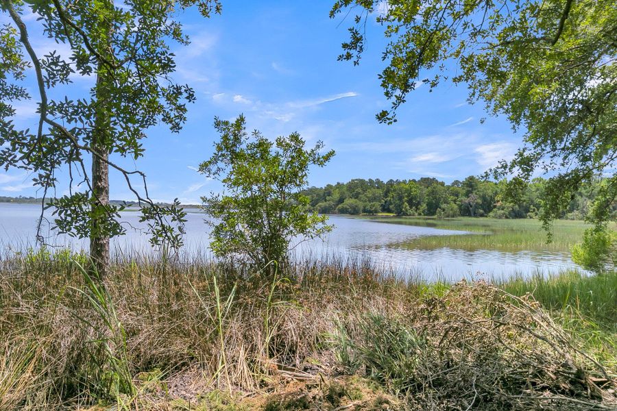 Natural landscape and outdoor views near  in Ravenel (Image 80).