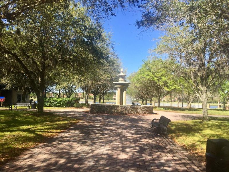 Natural landscape and outdoor views near in New Smyrna Beach (Image 68). Natural landscape and outdoor views near in New Smyrna Beach (Image 68).