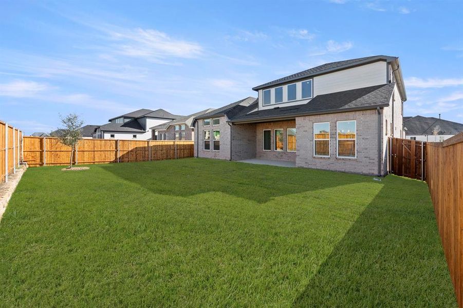 26_27. 629 Bunchberry - Back (2) 26_27. 629 Bunchberry - Back (2)