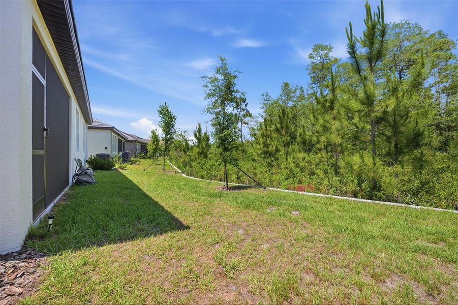 Exterior details and patio area of a home in Angeline Active Adult, Land O' Lakes (Image 27).