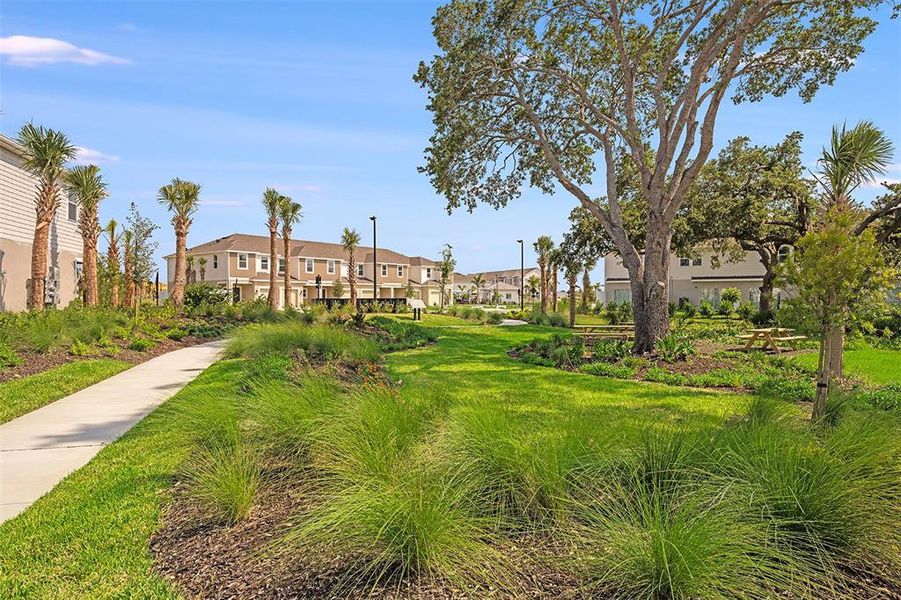 Natural landscape and outdoor views near Vinterra Townhomes in Nokomis (Image 48).