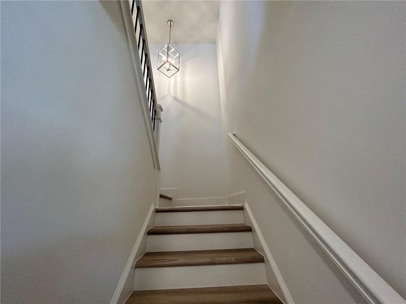 Stairway with hardwood / wood-style floors