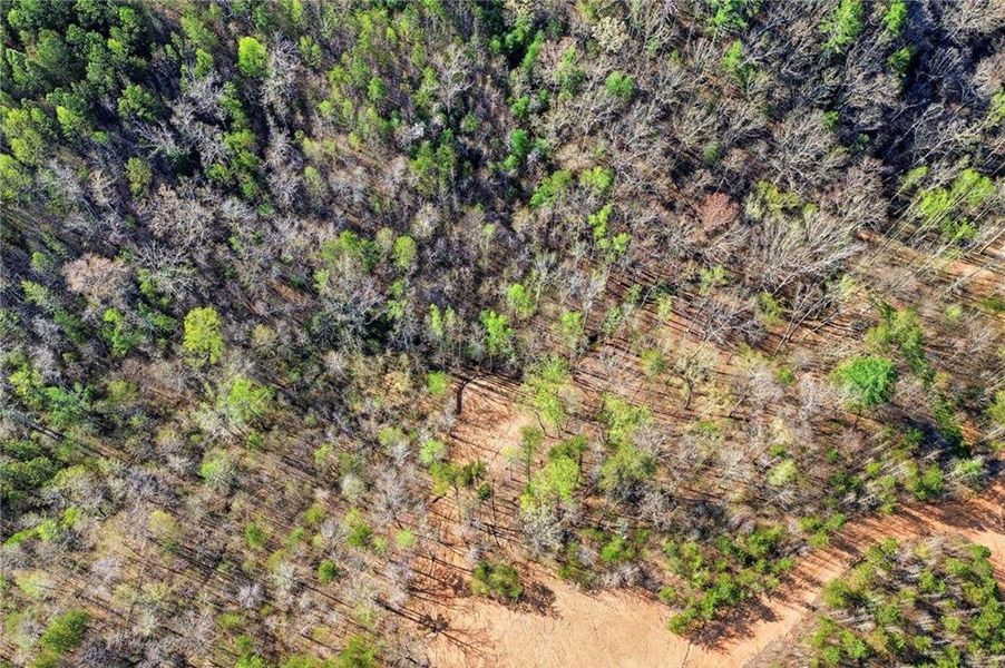 Natural landscape and outdoor views near  in Ellijay (Image 21).