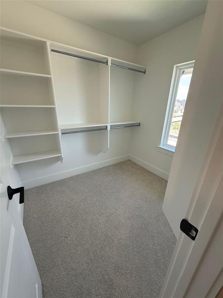 Walk in closet with light colored carpet Walk in closet with light colored carpet