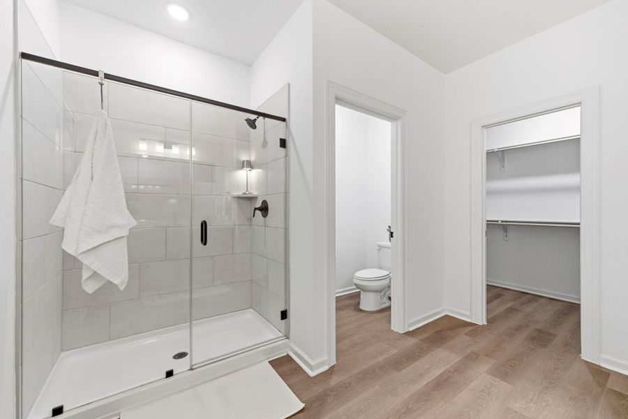 Furnished interior view inside a new home in Emberly, Beasley (Image 3).