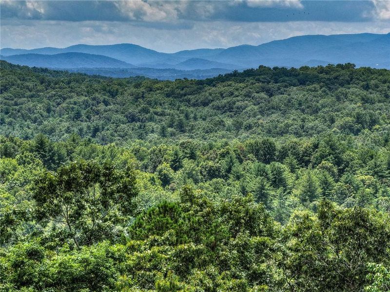 Natural landscape and outdoor views near  in Morganton (Image 37).