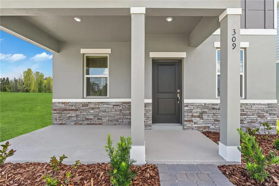 Exterior details and patio area of a home in , Wesley Chapel (Image 4).