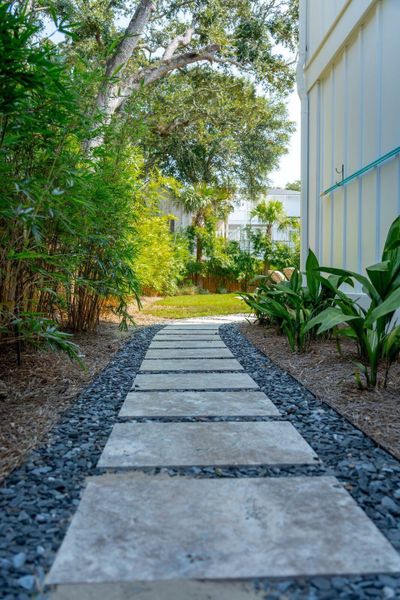 Natural landscape and outdoor views near  in Isle Of Palms (Image 64).