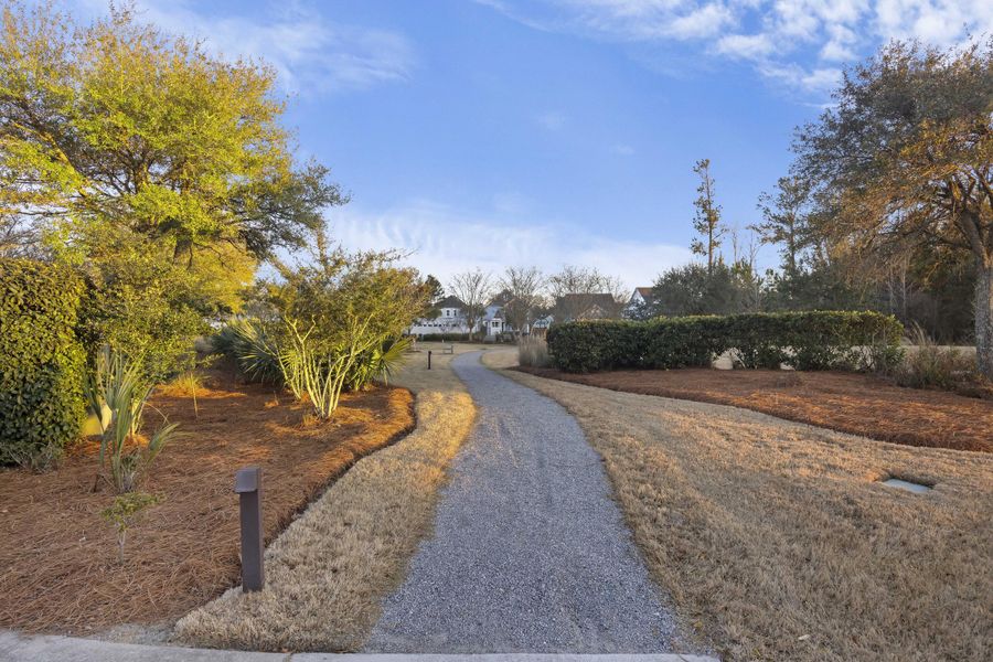 Natural landscape and outdoor views near  in Summerville (Image 54).