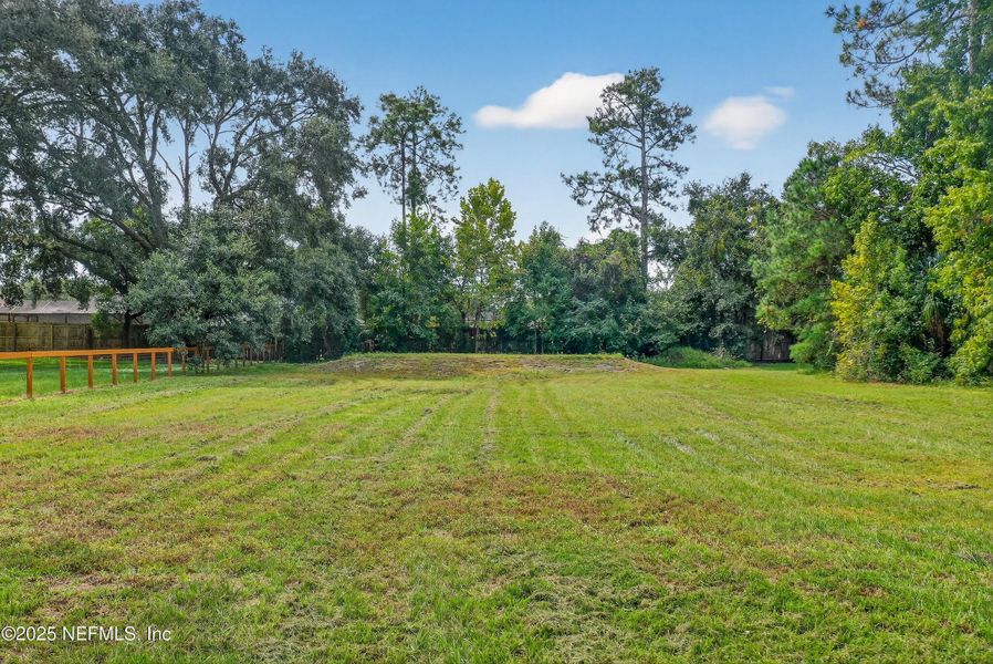 Natural landscape and outdoor views near  in Jacksonville (Image 52).