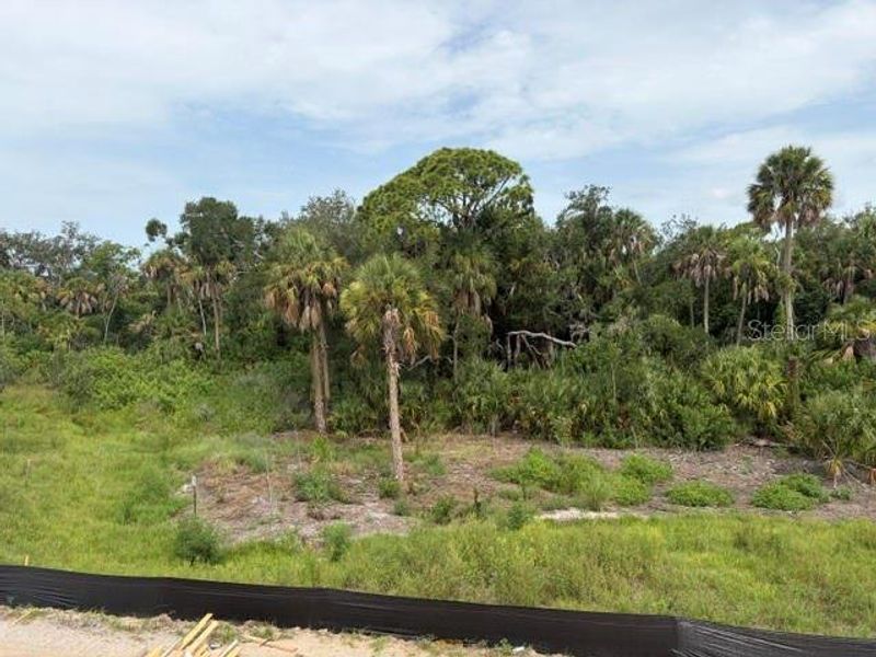 Natural landscape and outdoor views near  in Parrish (Image 25).