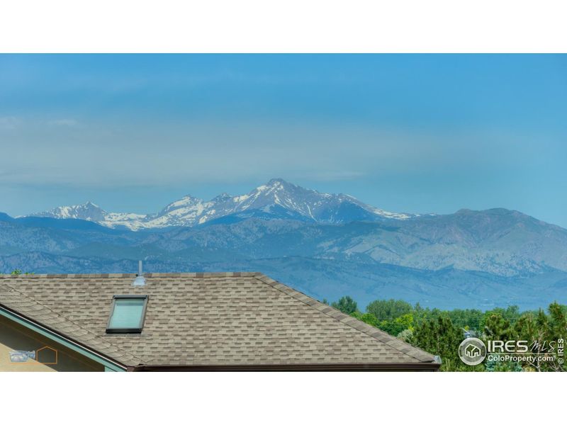 Longs Peak View