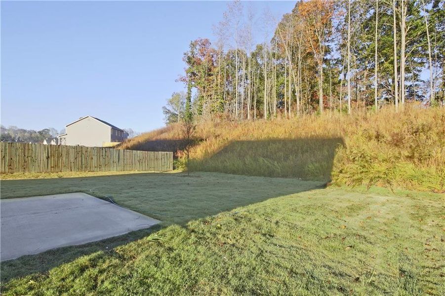 Natural landscape and outdoor views near Paces Estates in Lithia Springs (Image 36).