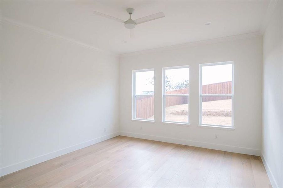 Empty room featuring ceiling fan, crown molding, and light hardwood / wood-style flooring