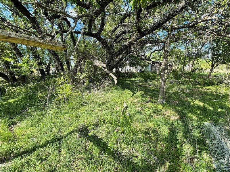 Natural landscape and outdoor views near  in Stephenville (Image 24).