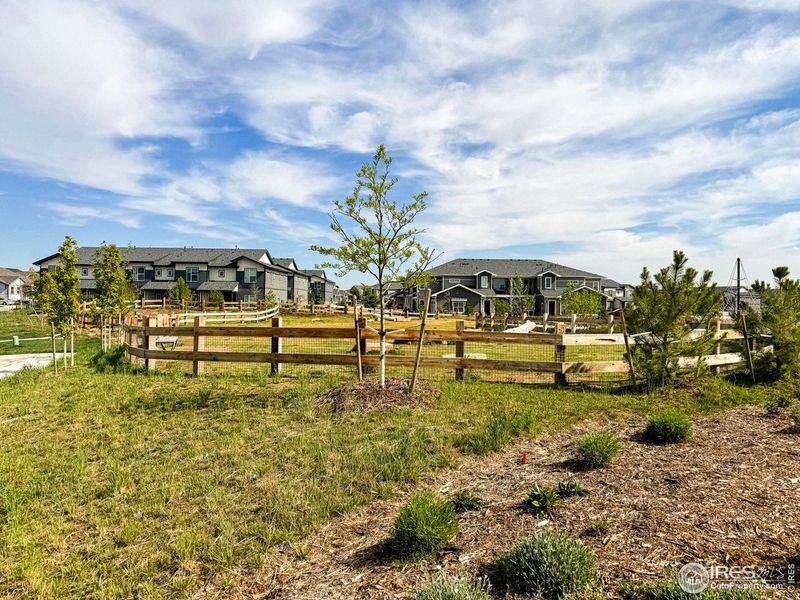Exterior details and patio area of a home in The Lakes at Centerra - Discovery, Loveland (Image 3).