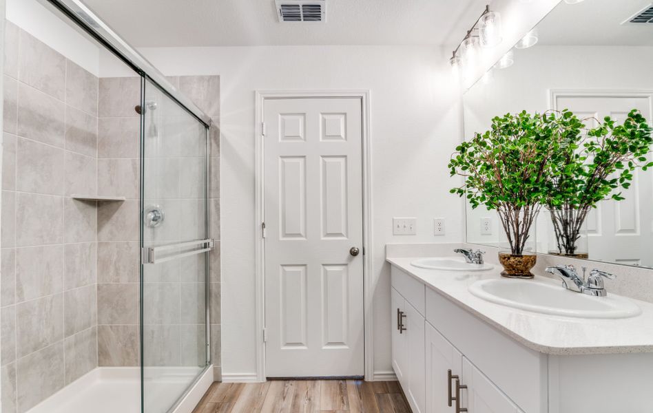 Large shower in owner's bath