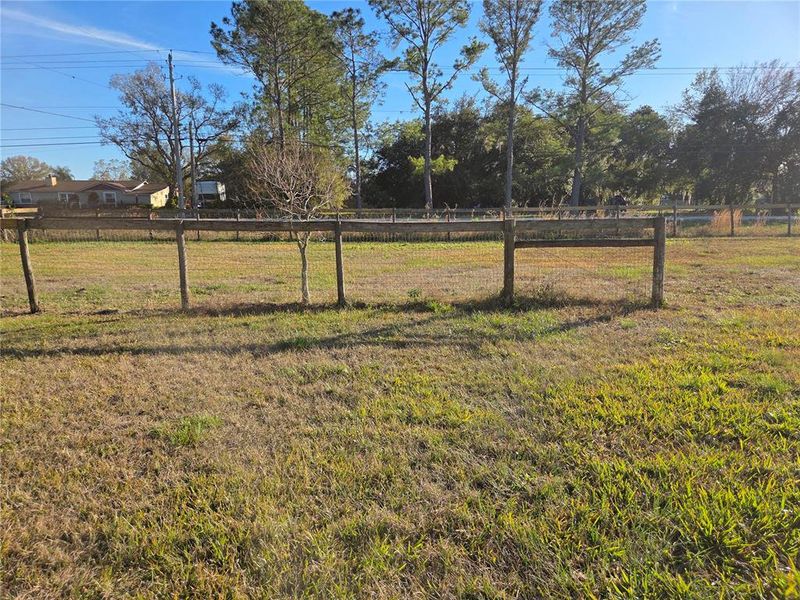 Natural landscape and outdoor views near  in Plant City (Image 26).