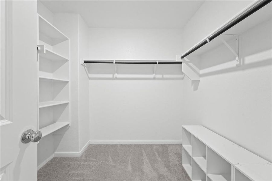 Walk in closet with light carpet