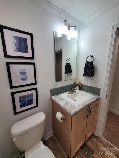 Furnished interior view inside a new home in , Olin (Image 6).