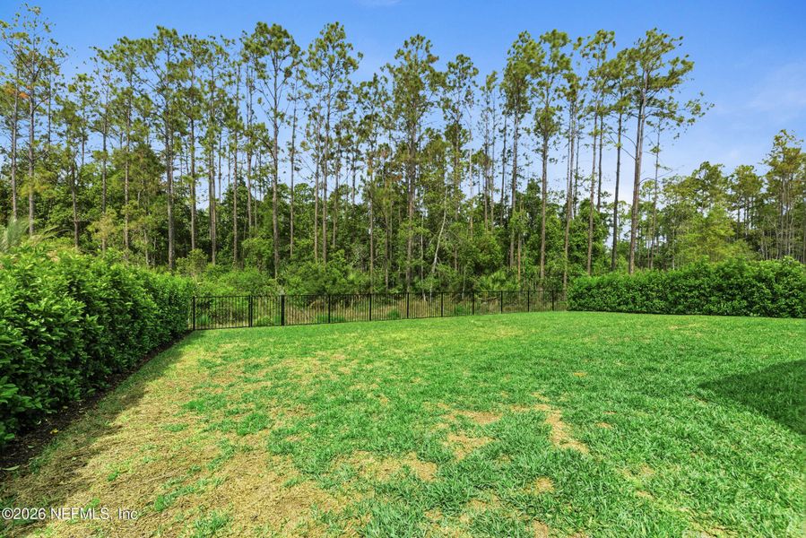 Natural landscape and outdoor views near  in Ponte Vedra (Image 38).