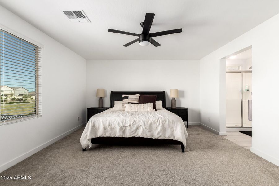 14 - Seldon 14 - Seldon