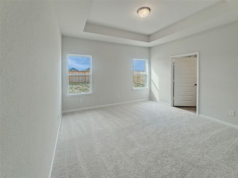The Piedmont- Primary Bedroom with Tray Ceiling