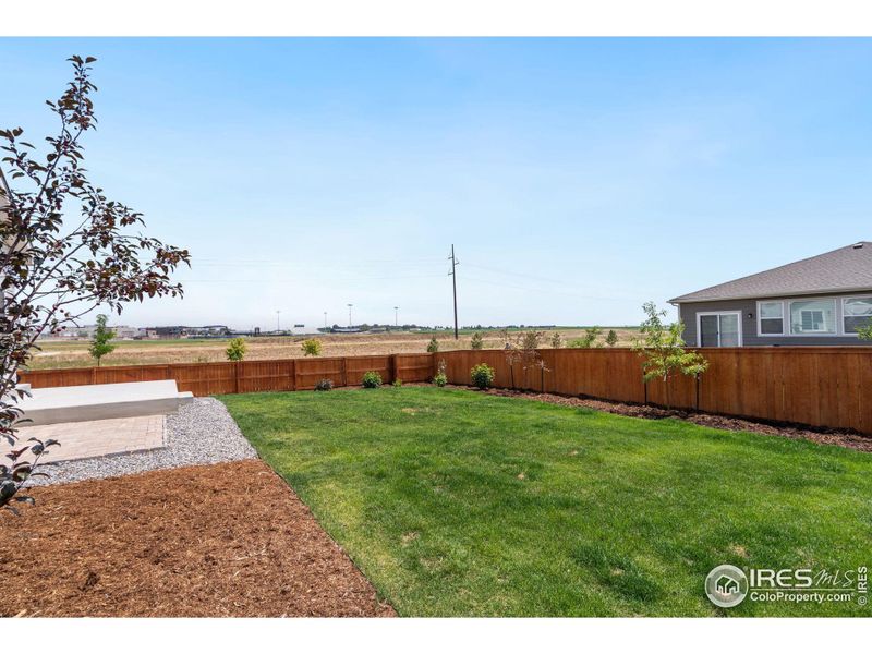 Backyard fully landscaped and has sprinkler system