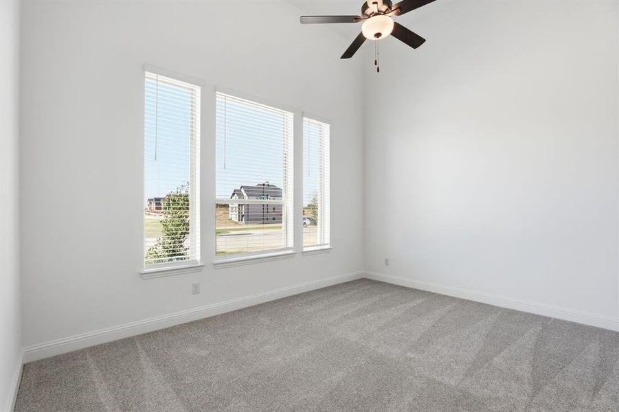 1017 Rainshower ~ Ready Now 1017 Rainshower ~ Ready Now