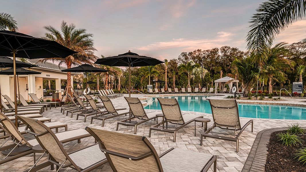 Community amenities in Skye Ranch Community Group Page, Sarasota (Image 62).