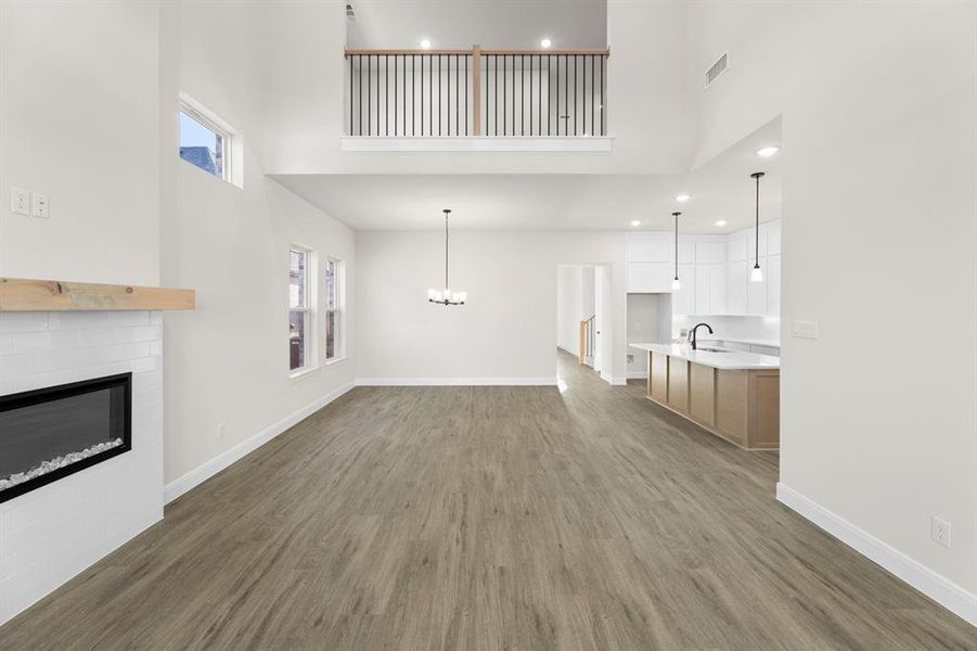 1617 Yorkie - Family (3)