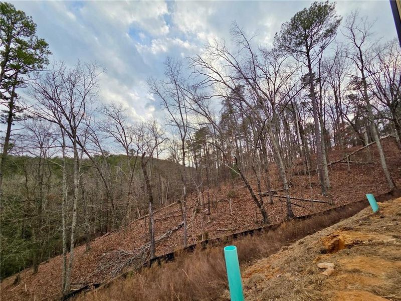 Site preparation for new homesites in , Waleska (Image 21).