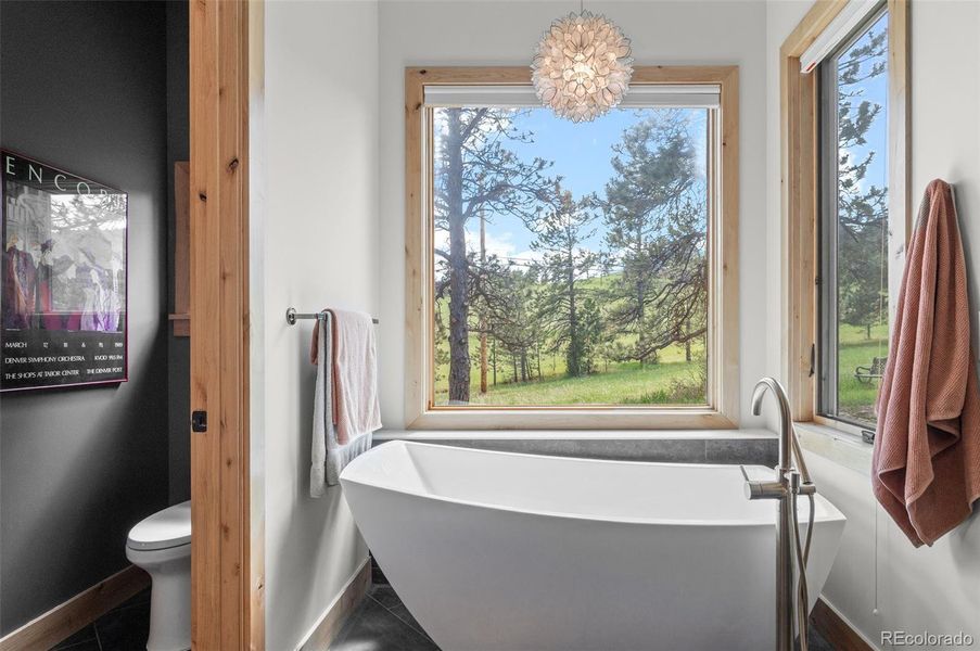 Primary Bath tub with views!