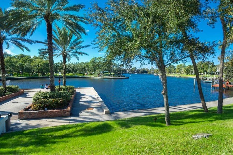 Natural landscape and outdoor views near  in Tarpon Springs (Image 59).