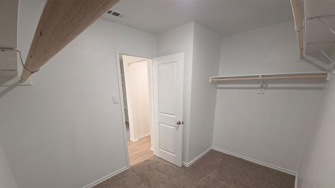 Walk-in closet featuring carpet flooring, crisp white walls, and built-in shelving with hanging rods