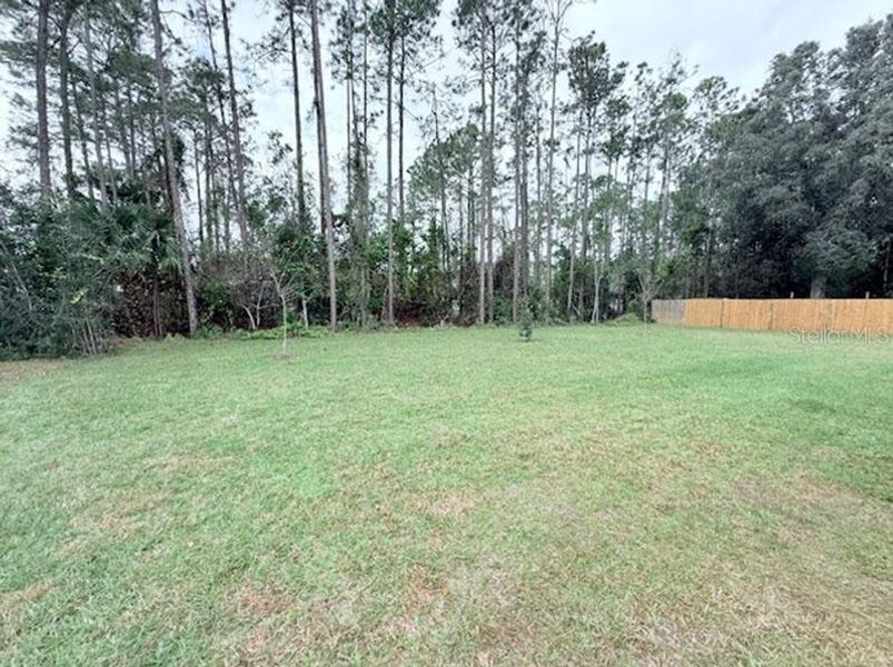 Natural landscape and outdoor views near  in Palm Coast (Image 12).