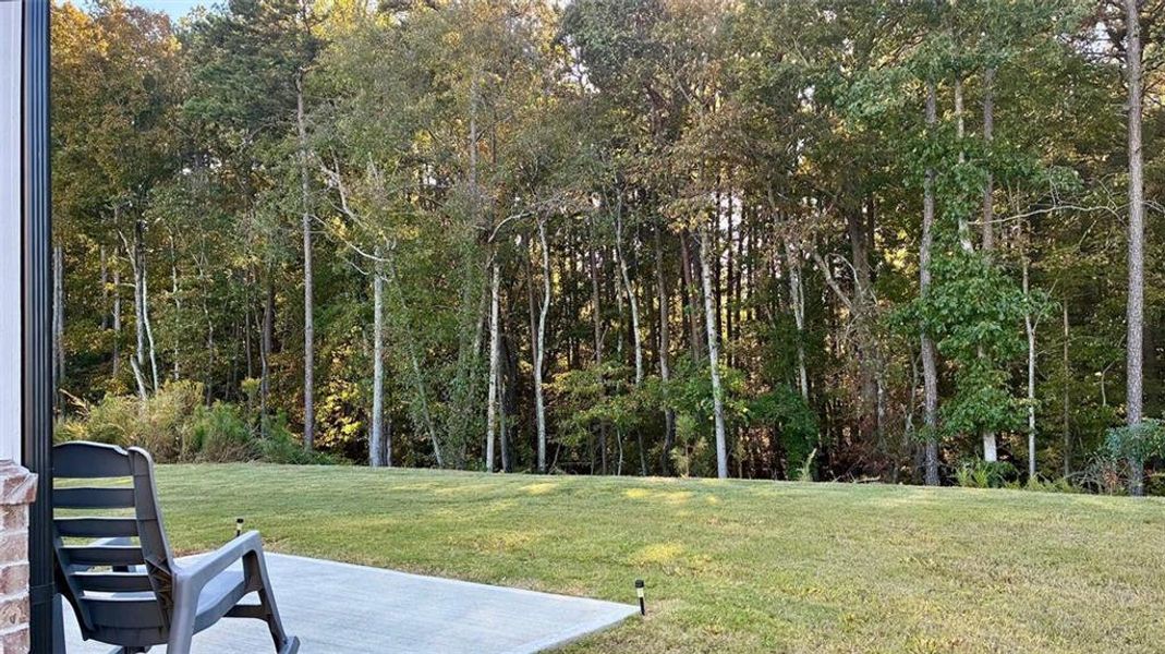 Natural landscape and outdoor views near in Adairsville (Image 37). Natural landscape and outdoor views near in Adairsville (Image 37).