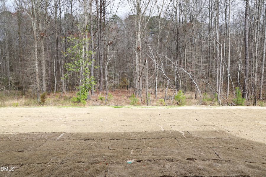 LOT 148 BC LOT 148 BC