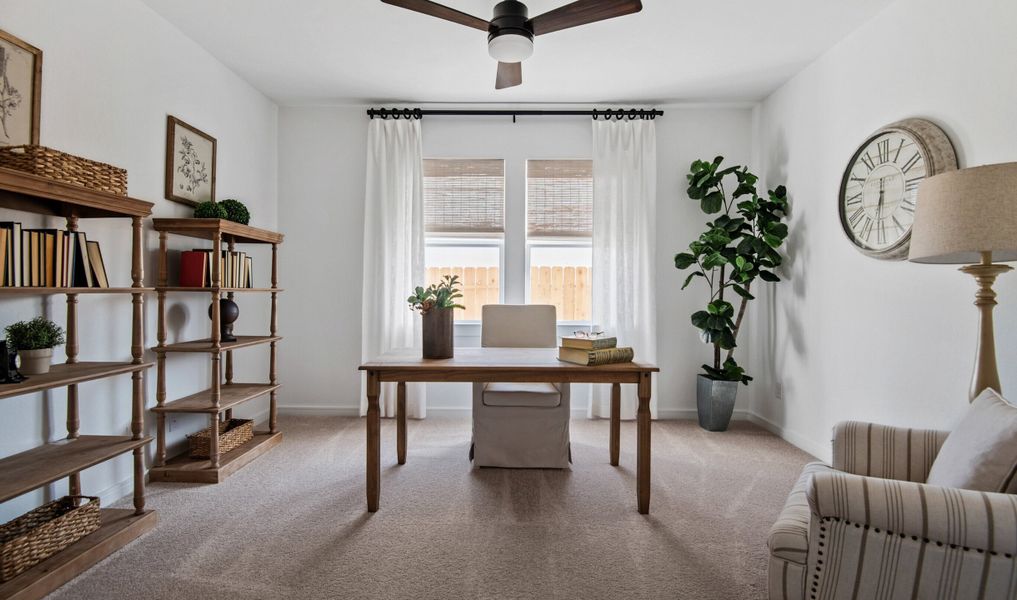 Home office with plush carpeting