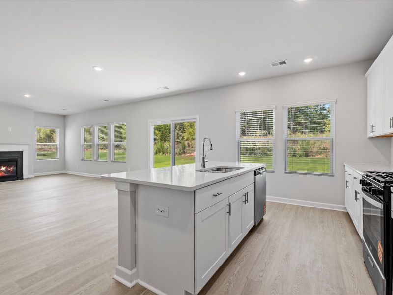 Welcome to the Dakota floorplan at Vickery Station.