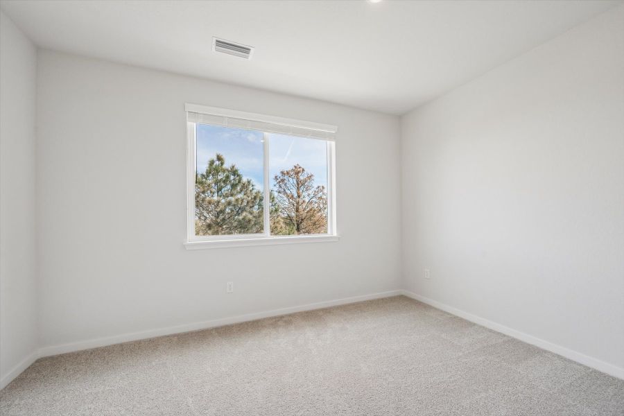 A room with a window and a tree outside.