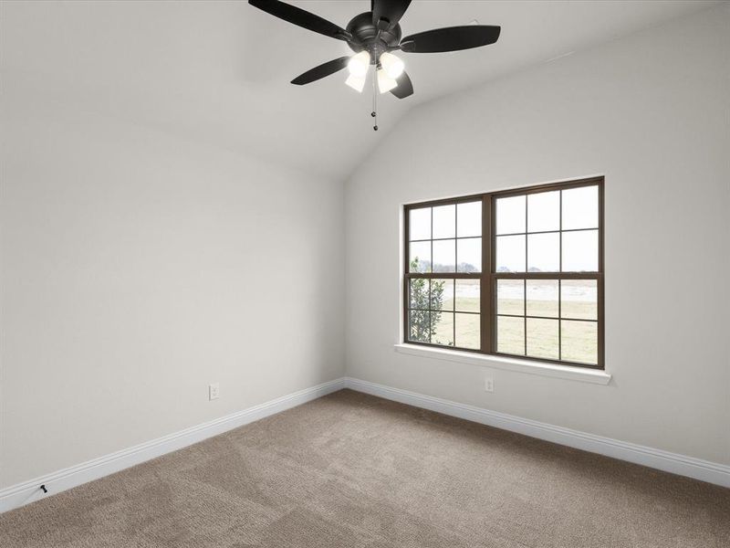 Unfurnished room featuring lofted ceiling, carpet, and ceiling fan
