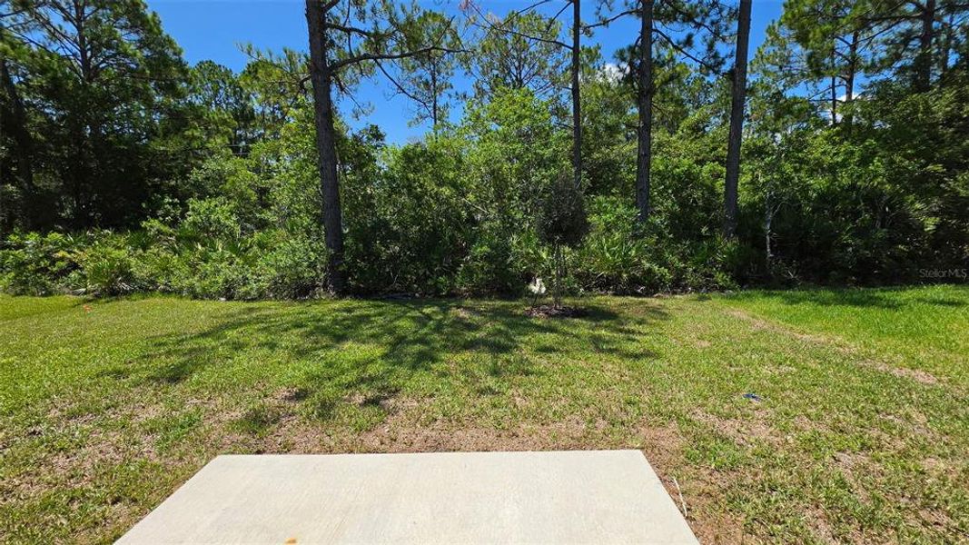 Natural landscape and outdoor views near in Palm Coast (Image 25). Natural landscape and outdoor views near in Palm Coast (Image 25).