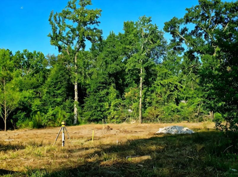 Natural landscape and outdoor views near in Conroe (Image 4). Natural landscape and outdoor views near in Conroe (Image 4).