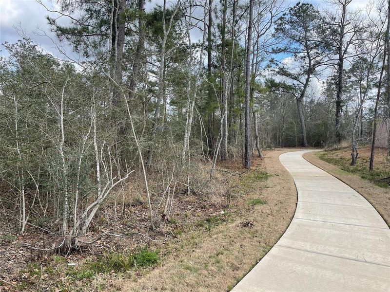 Natural landscape and outdoor views near Magnolia Ridge: Cottage Collection in Magnolia (Image 34).