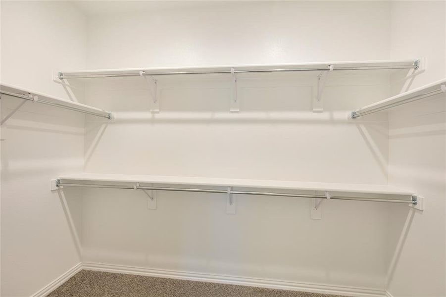 Spec Elevon 256 Bright Alcove-019 Spec Elevon 256 Bright Alcove-019